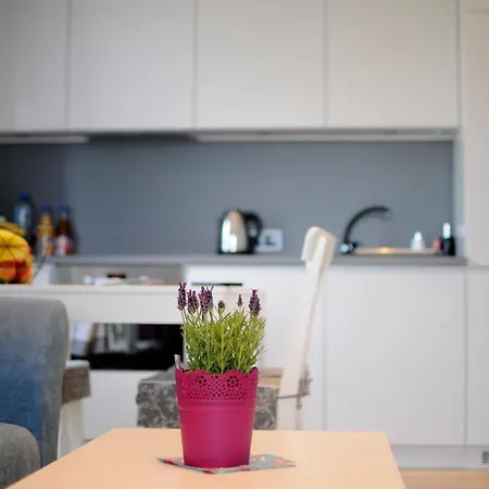 Apartment Lipska 4 *